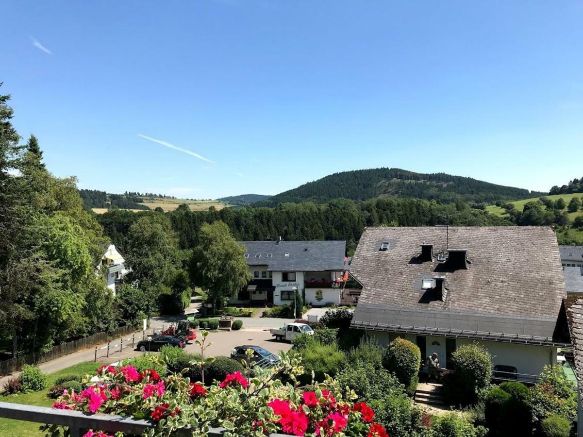 Hotelpension Schroeder Willingen  Kültér fotó