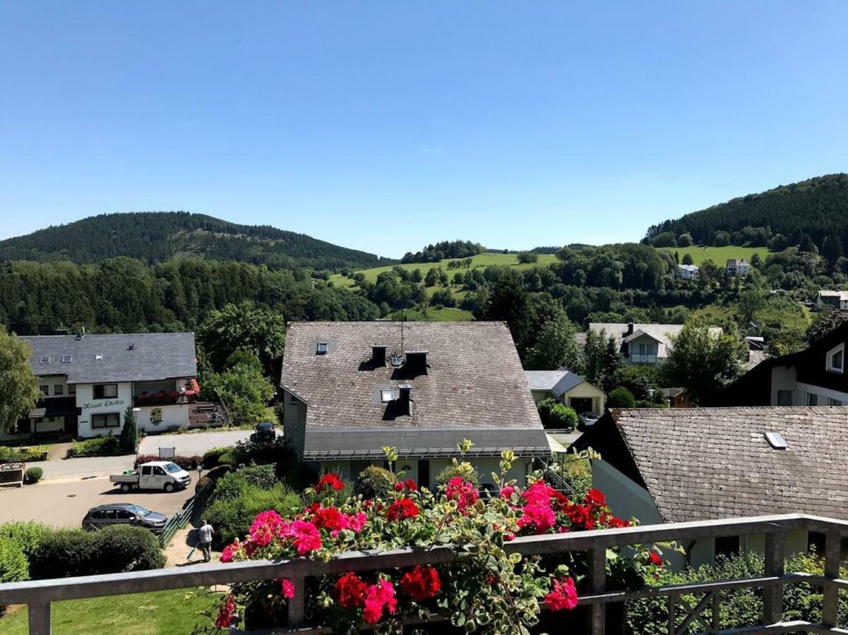 Hotelpension Schroeder Willingen  Kültér fotó